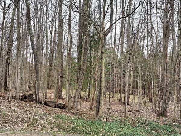 Steam Mill Road , Camden, NY 13316