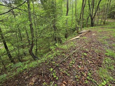 Lot 53 soul canyon hideaway , Zoe, KY 41397