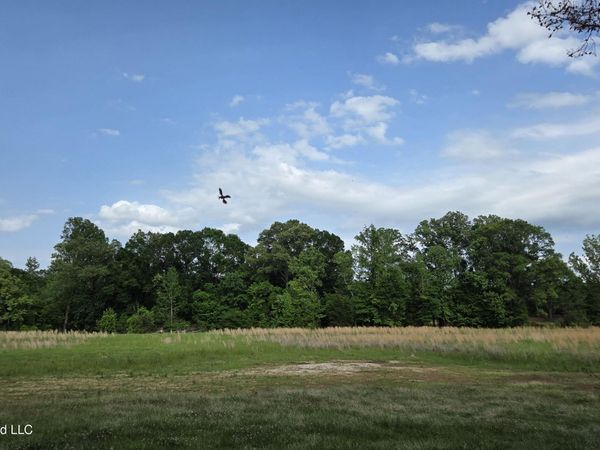 4845 Cayuga Road, Utica, MS 39175