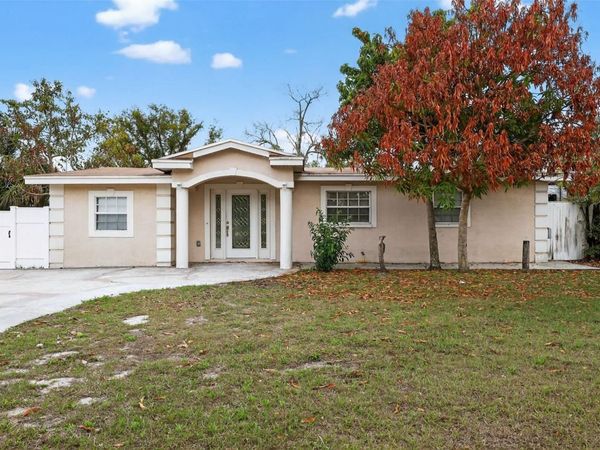3302 RIVER COVE DRIVE , TAMPA, FL 33614