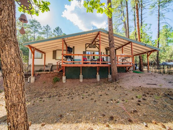 3372 N BRADSHAW Circle, Pine, AZ 85544