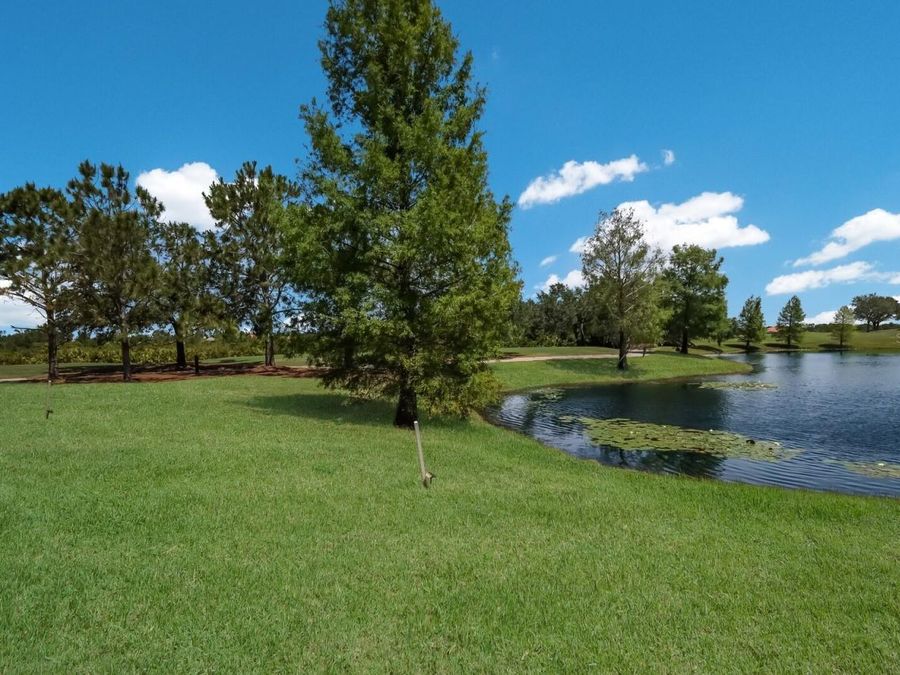 Property Image 47