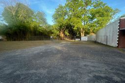4456 Rosemary Street  photo 4