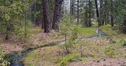 1601 Sugarpine Trail, Johnsville, CA 96103 Photo
