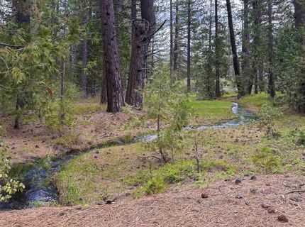 1601 Sugarpine Trail, Johnsville, CA 96103 Photo