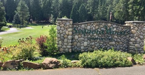 468 Mauna Kea Dr, Arnold, CA 95223 Photo