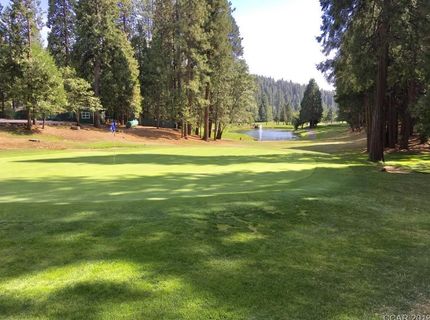 468 Mauna Kea Dr, Arnold, CA 95223 Photo