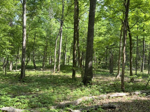 0 Millersburg Road , Christiana, TN 37037