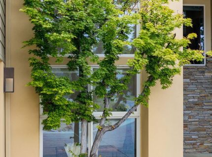 2385 Manzanita Lane, Reno, NV 89509 Photo