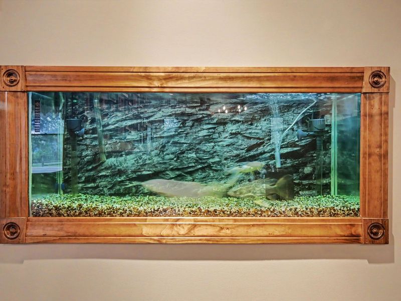 4637 Johnsville Road , Centerburg, OH 43011 Photo 14