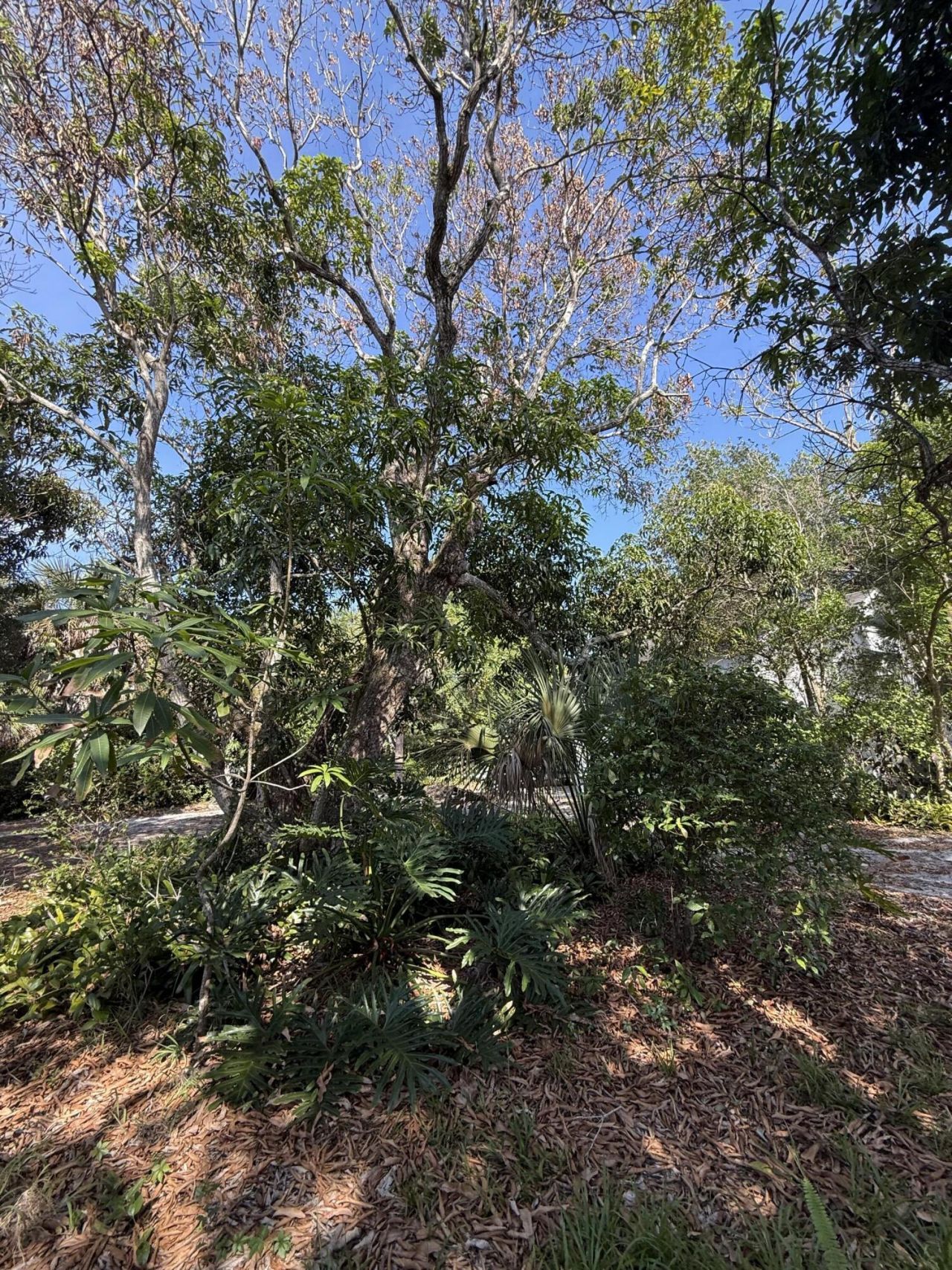 2363 SE St Lucie Boulevard, Stuart, FL 34996 Photo