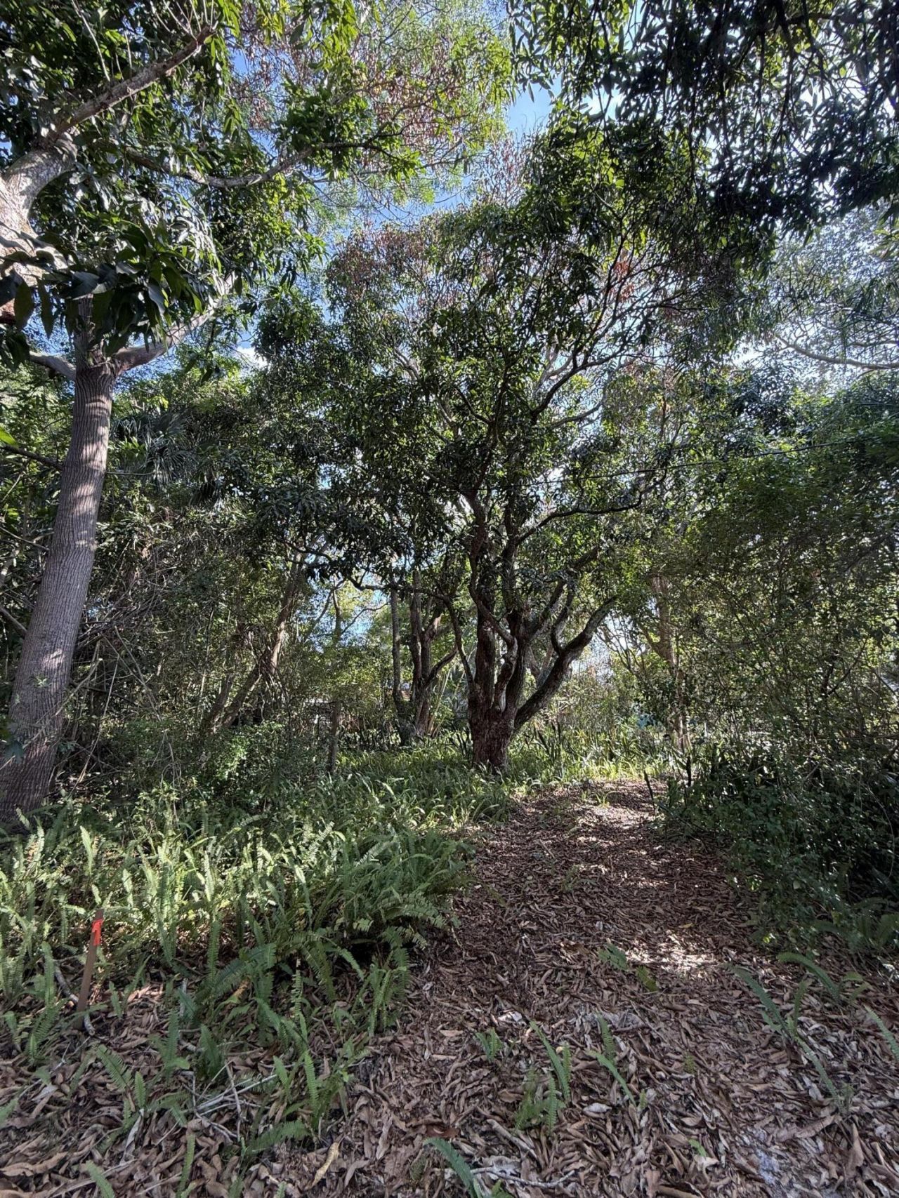 2363 SE St Lucie Boulevard, Stuart, FL 34996 Photo