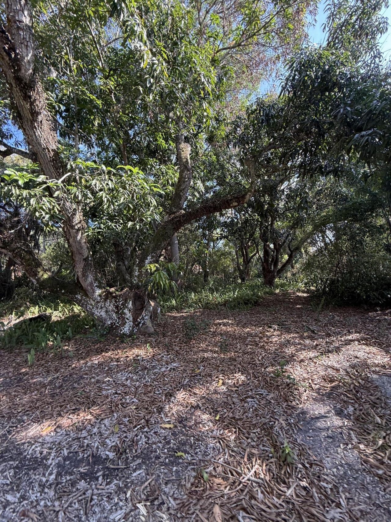2363 SE St Lucie Boulevard, Stuart, FL 34996 Photo