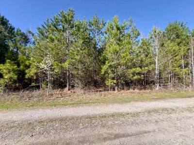 4 Devine Way, Cross, SC 29436