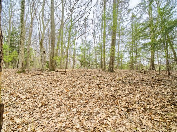 E Piney Road, Manistee, MI 49660