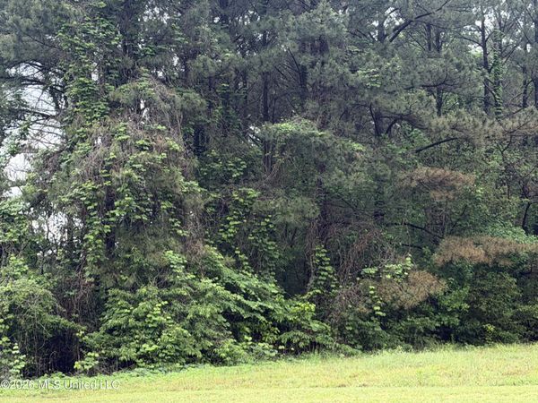 Green River Road, Lake Cormorant, MS 38641