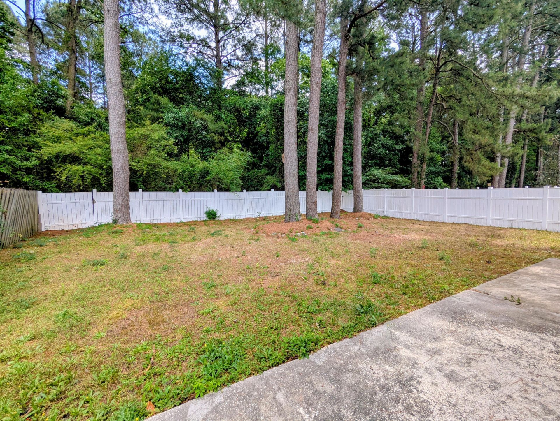 127 Towering Pine Drive Photo 21