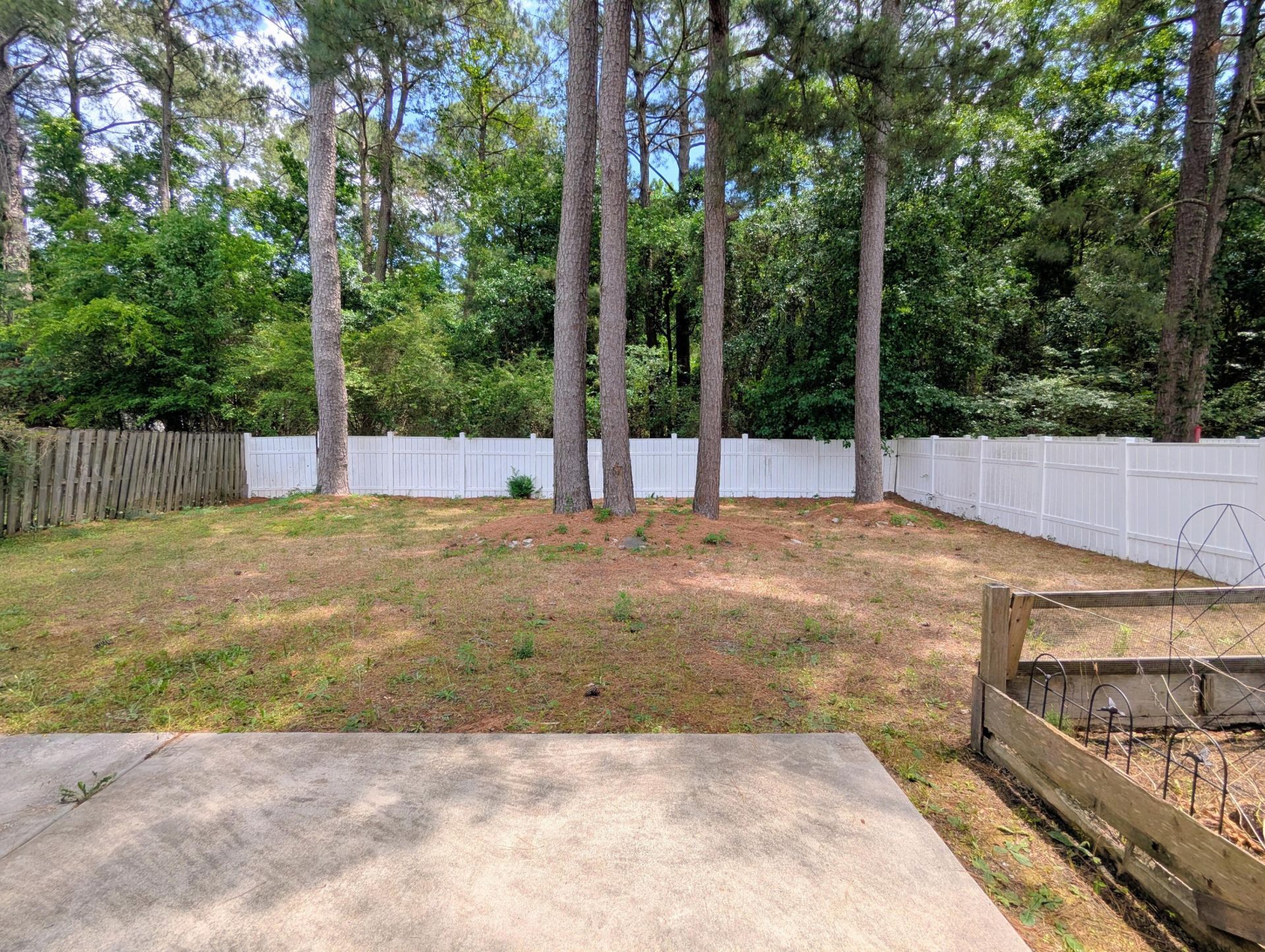 127 Towering Pine Drive Photo 22