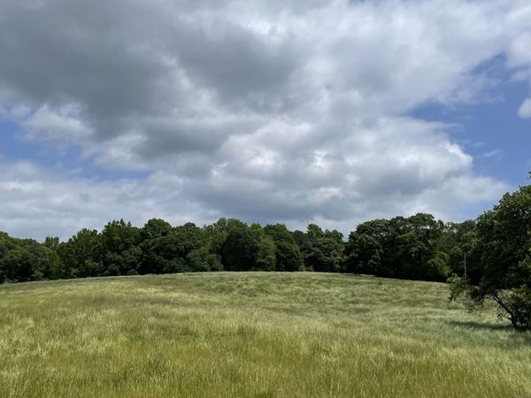 0 Quail Run Rd, Royston, GA 30662