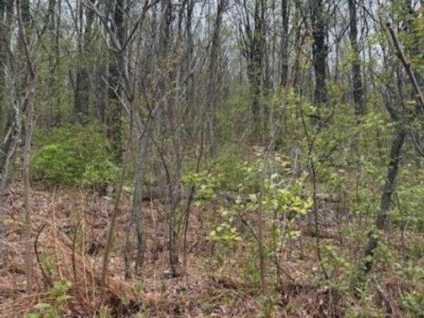 247 Wildcat Road Road , Olyphant, PA 18447