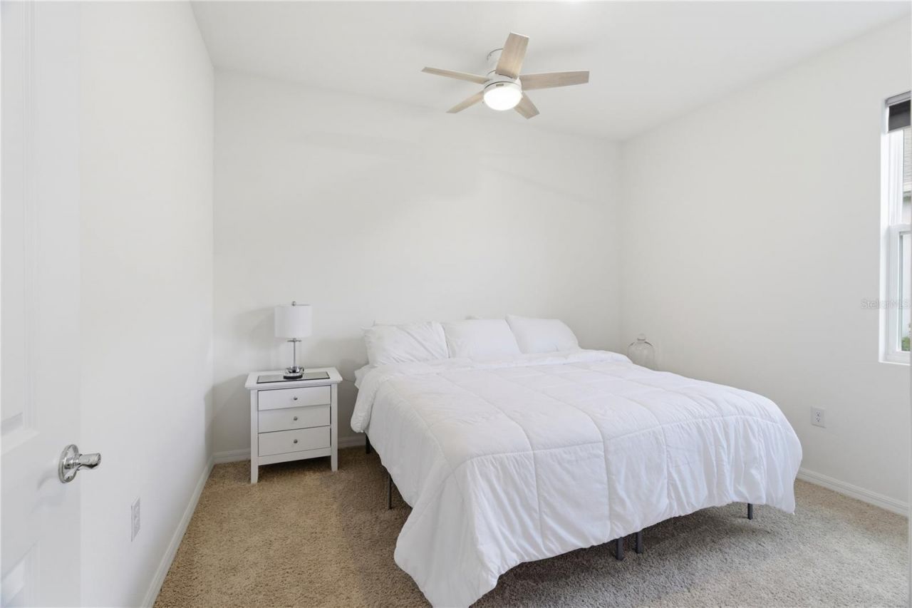 3827 Mossy Limb Court, Palmetto, FL 34221 Photo