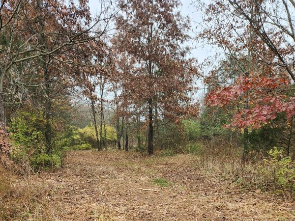 4230 Peytonsville Trinity Rd , Franklin, TN 37064