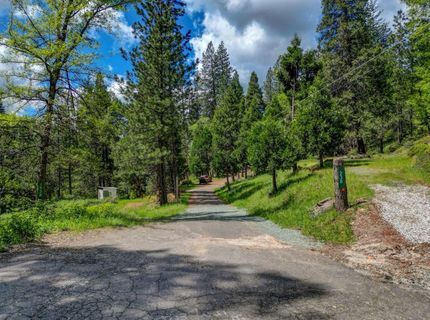 238 Cedar Dr, Hathaway Pines, CA 95233 Photo