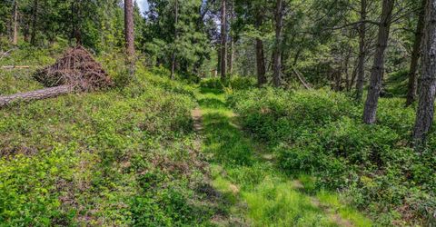 238 Cedar Dr, Hathaway Pines, CA 95233 Photo