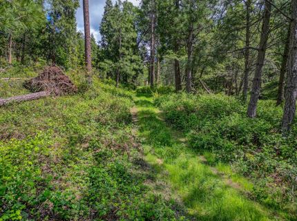 238 Cedar Dr, Hathaway Pines, CA 95233 Photo