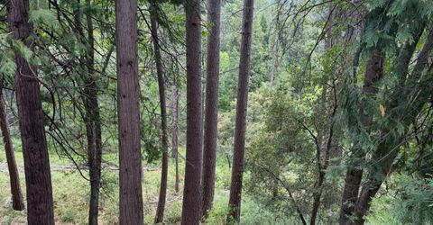 238 Cedar Dr, Hathaway Pines, CA 95233 Photo