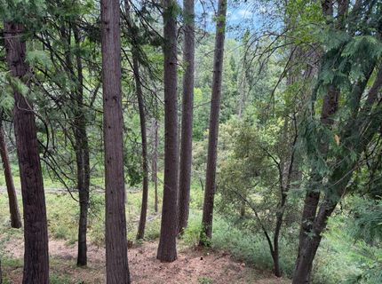 238 Cedar Dr, Hathaway Pines, CA 95233 Photo