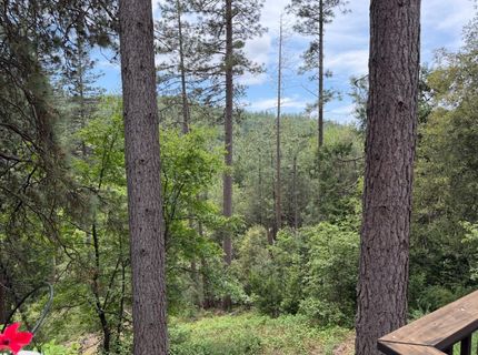 238 Cedar Dr, Hathaway Pines, CA 95233 Photo