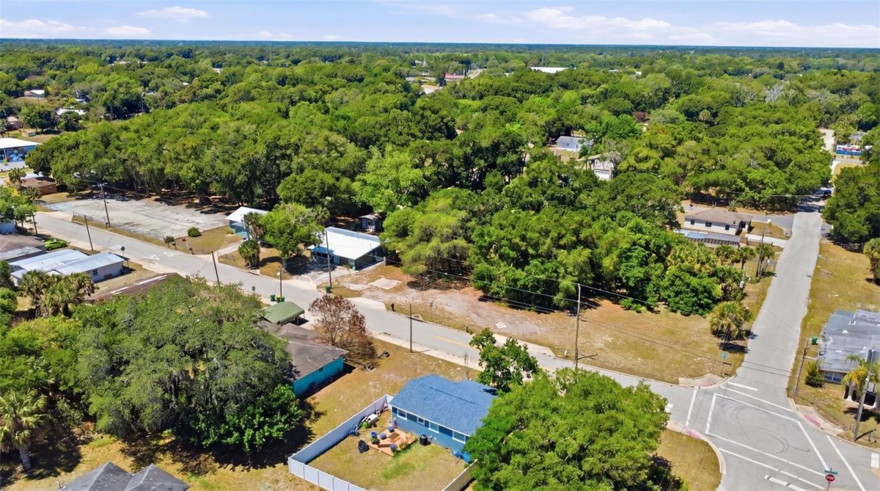 2559 Harry T Moore Avenue, Mims, FL 32754 Photo