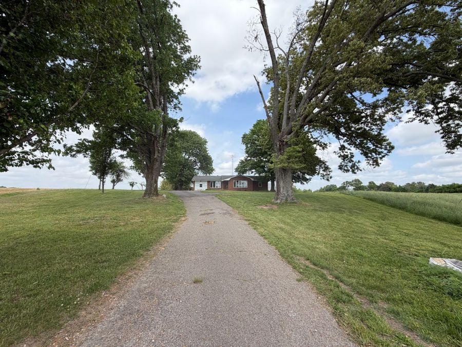 Property Image 63