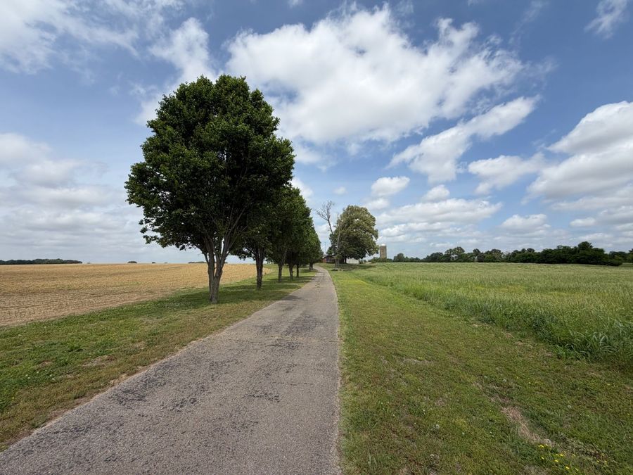 Property Image 65
