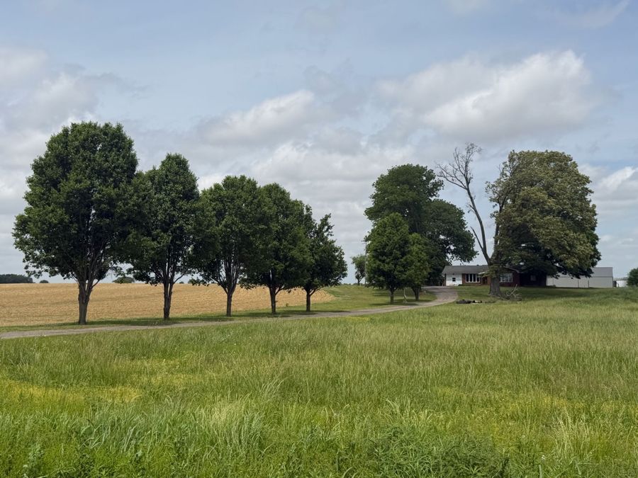 Property Image 69