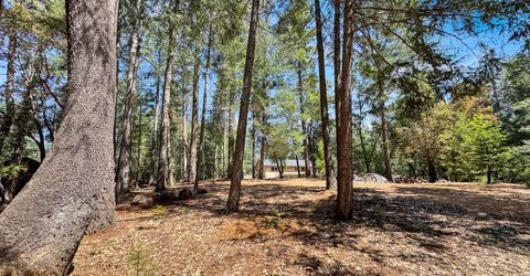 6152 Hillcrest Ct, Foresthill, CA 95631 Photo