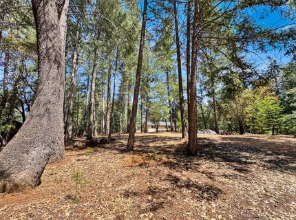 6152 Hillcrest Ct, Foresthill, CA 95631 Photo