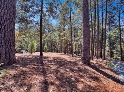 6152 Hillcrest Ct, Foresthill, CA 95631 Photo