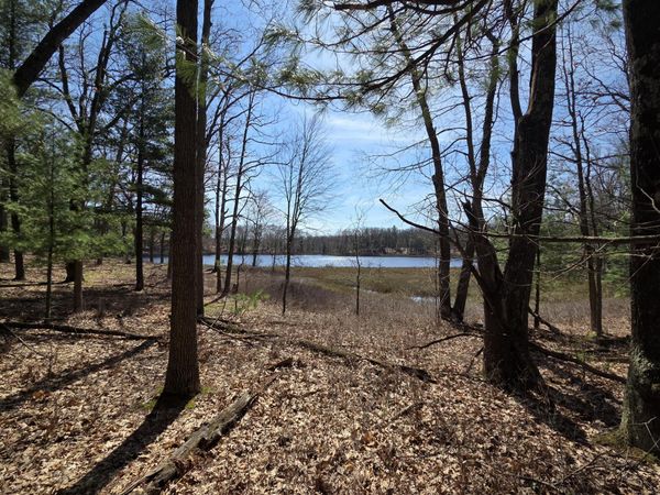 6446 N Sunshine Drive, Unit 16, Irons, MI 49644