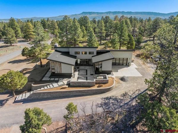 176 Bear Cub Drive, Ridgway, CO 81432