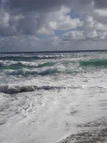 170 Horizons E, Unit 302, Boynton Beach, FL 33435 Photo