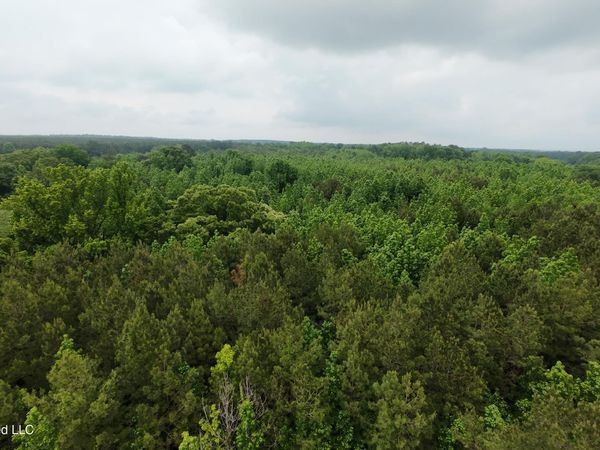 6936 Hillsboro-ludlow Road, Forest, MS 39074
