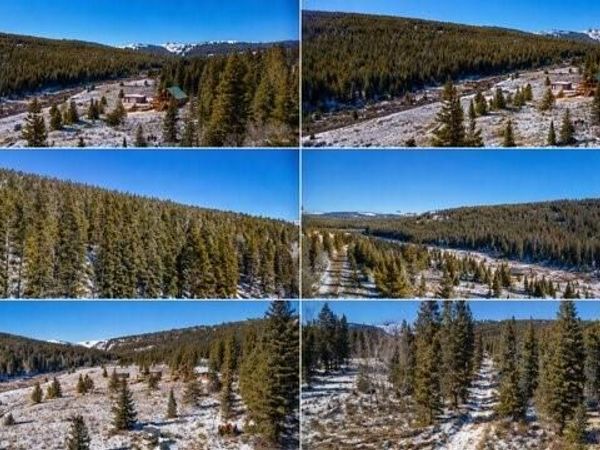 1180 Zebulon Street , Alma, CO 80420