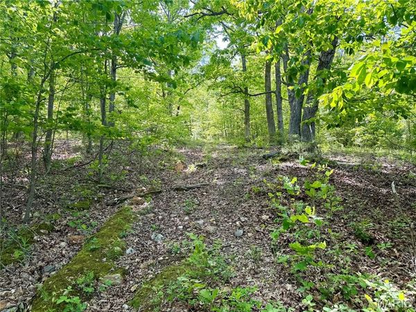 0 Pratt Road , Cadet, MO 63630