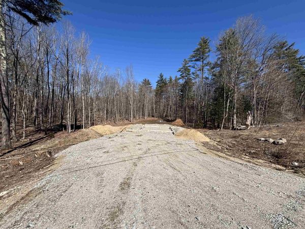 Map 202 Lot 1 NH Rte 25 W, Ossipee, NH 03864
