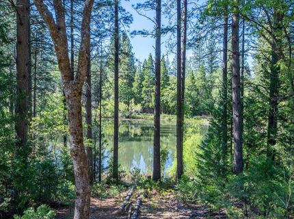 6141 Sweeney Rd, Somerset, CA 95684 Photo