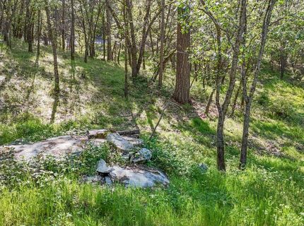 6141 Sweeney Rd, Somerset, CA 95684 Photo