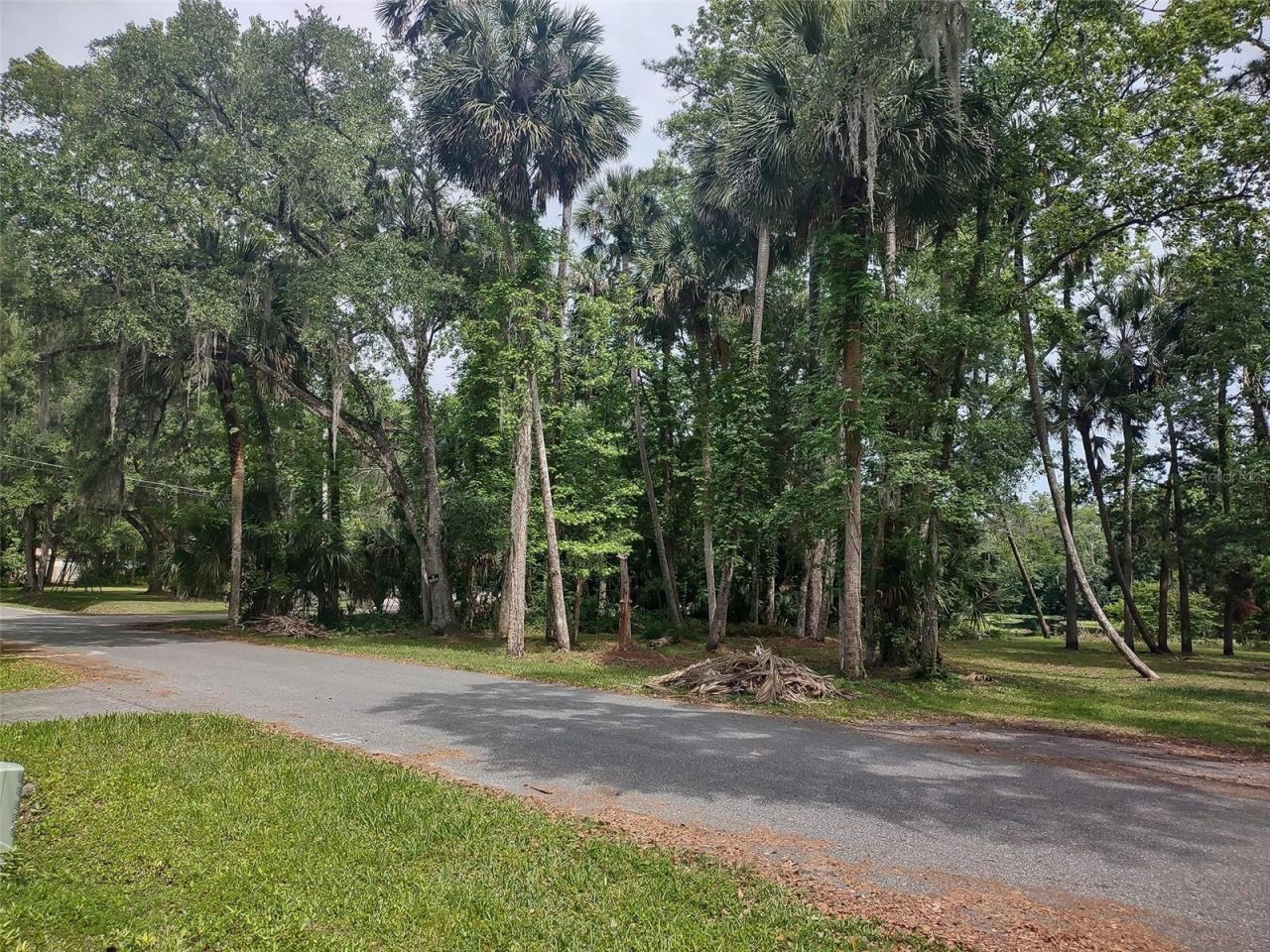 56508 Blue Creek Road, Astor, FL 32102 Photo