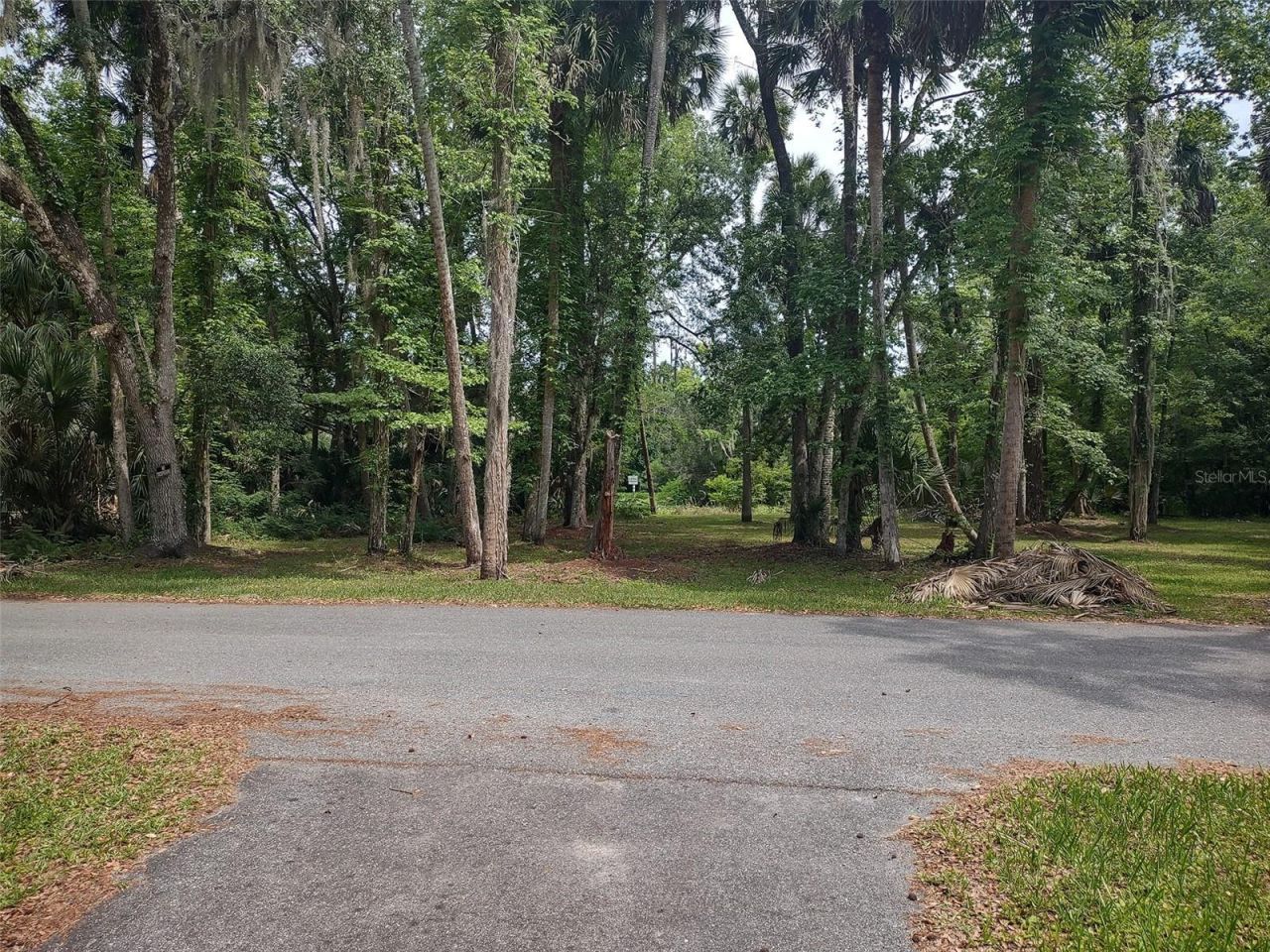56508 Blue Creek Road, Astor, FL 32102 Photo